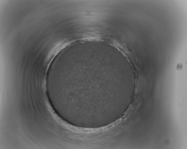 X0000092080002200709191234