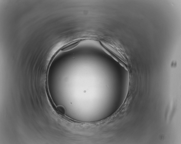 X0000092080003200709191234