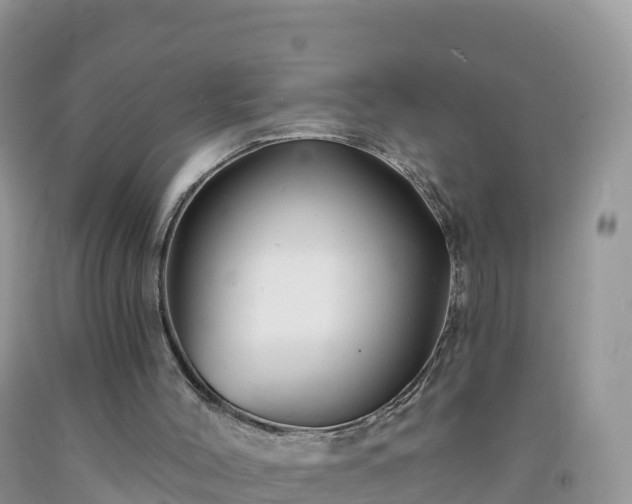 X0000092080004200709191234