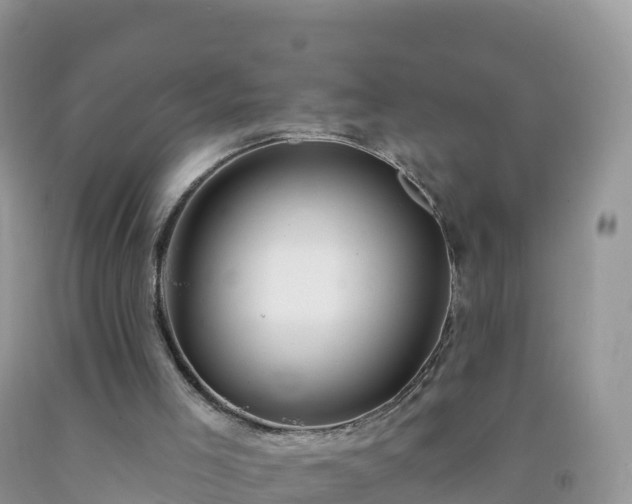 X0000092080005200709191234