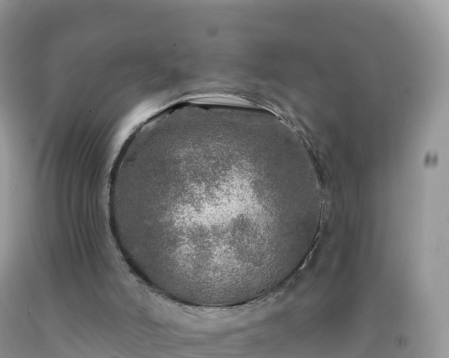 X0000092080006200709191234