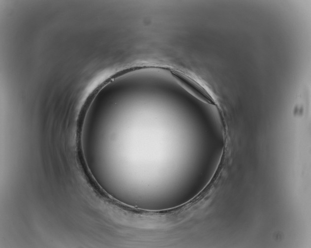 X0000092080008200709191234