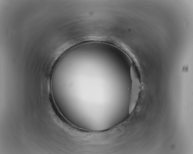 X0000092080011200709191234