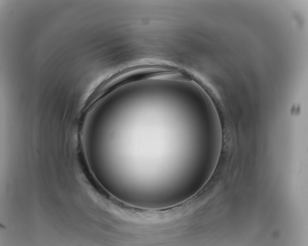 X0000092080015200709191234