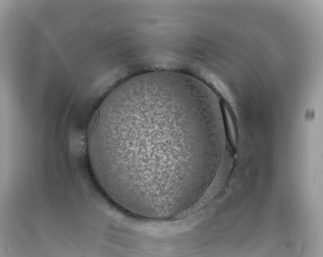 X0000092080017200709191234