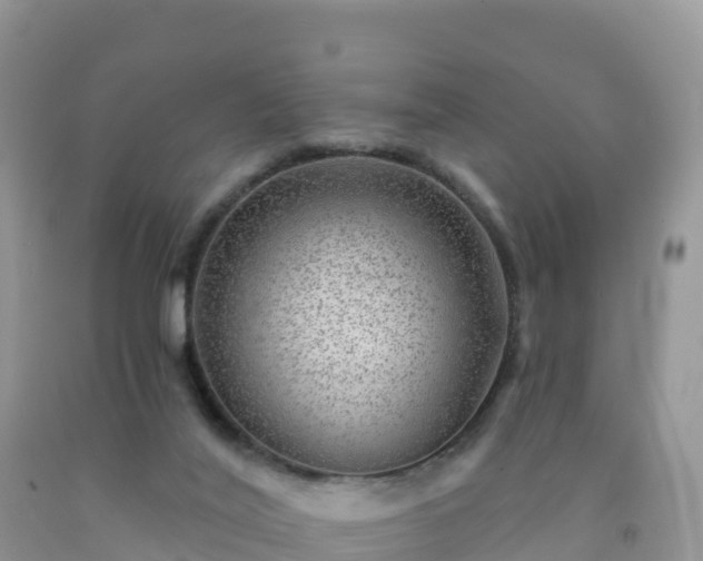 X0000092080020200709191234