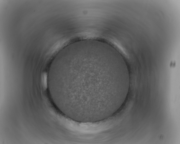 X0000092080022200709191234