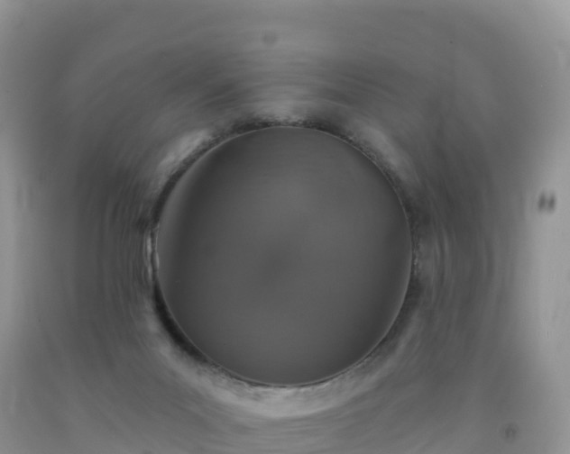 X0000092080023200709191234