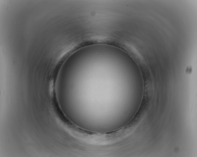 X0000092080024200709191234