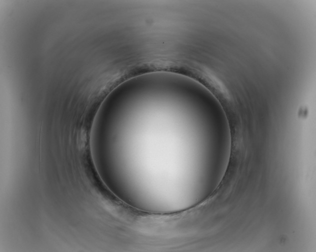 X0000092080025200709191234