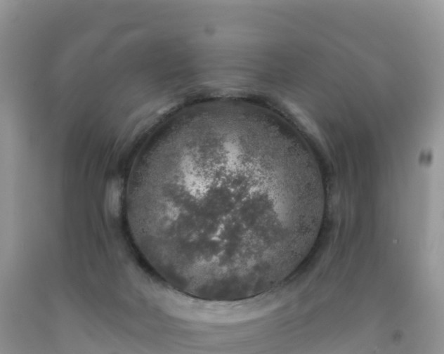 X0000092080026200709191234