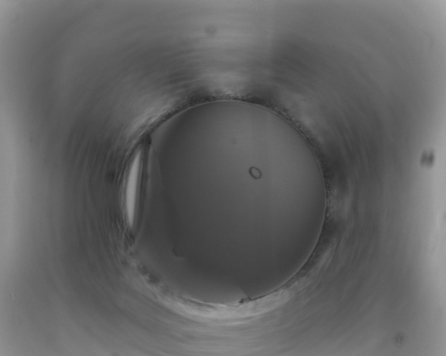 X0000092080027200709191234