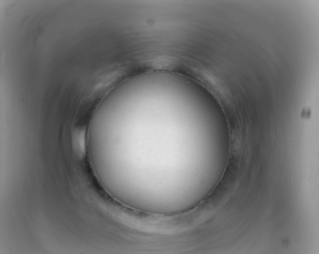 X0000092080028200709191234