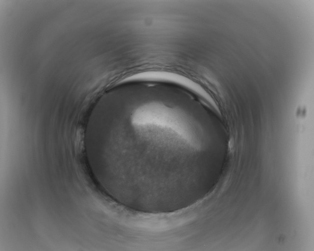 X0000092080029200709191234