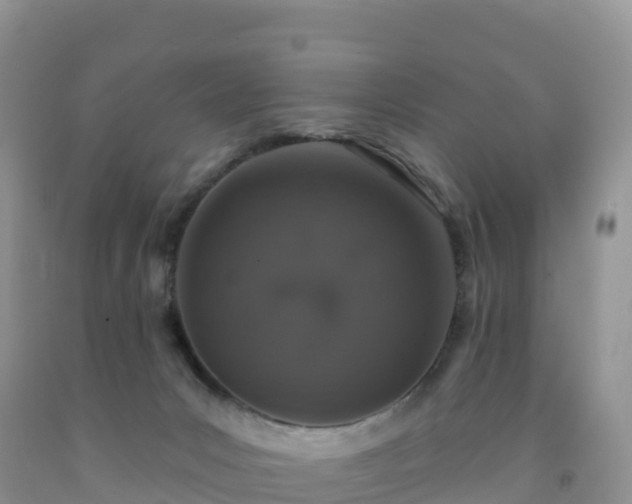 X0000092080031200709191234