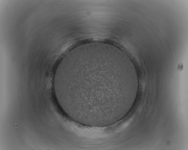 X0000092080032200709191234
