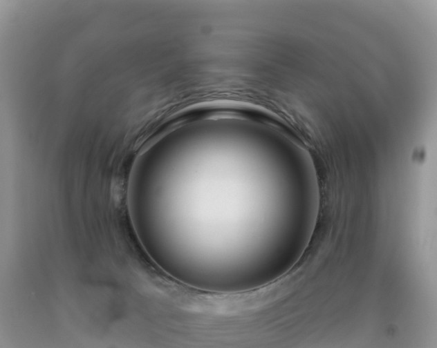 X0000092080033200709191234