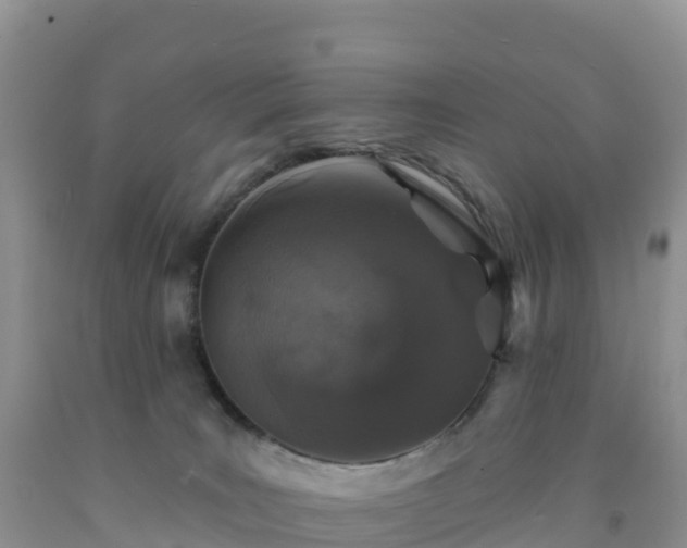 X0000092080035200709191234