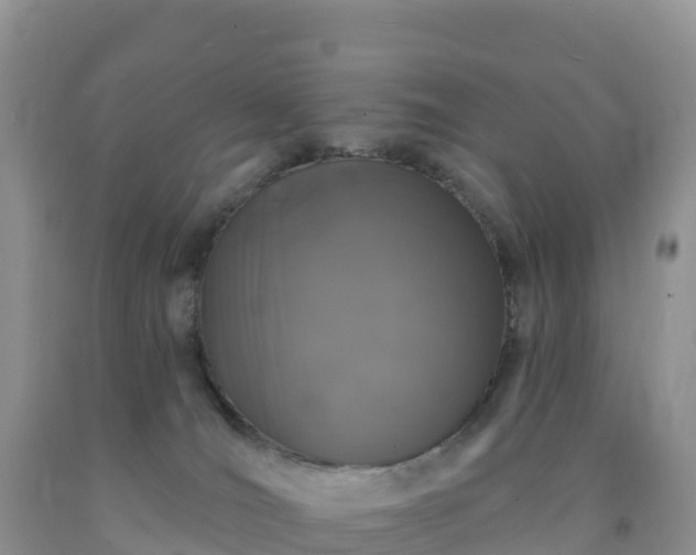X0000092080036200709191234