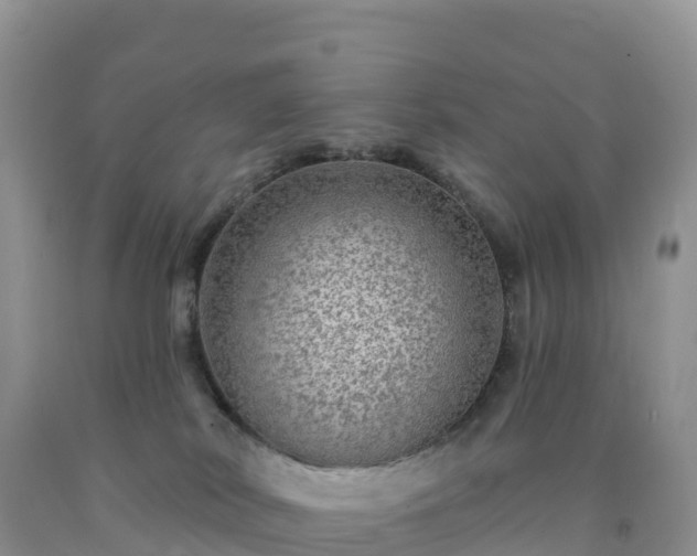 X0000092080038200709191234