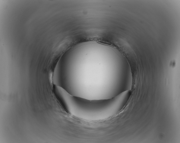 X0000092080041200709191234