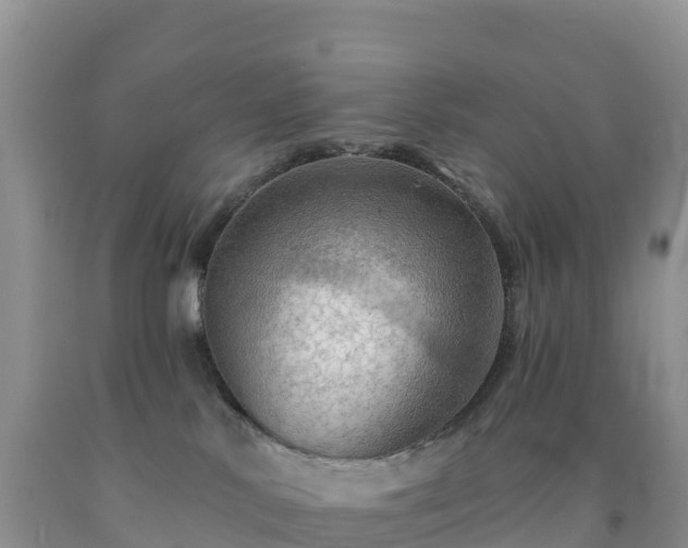 X0000092080042200709191234