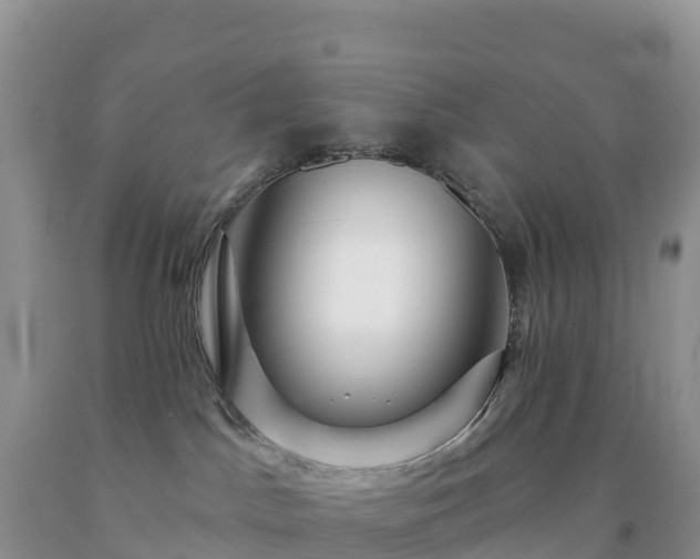 X0000092080045200709191234