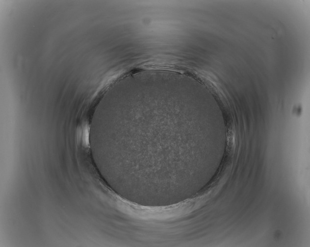 X0000092080046200709191234