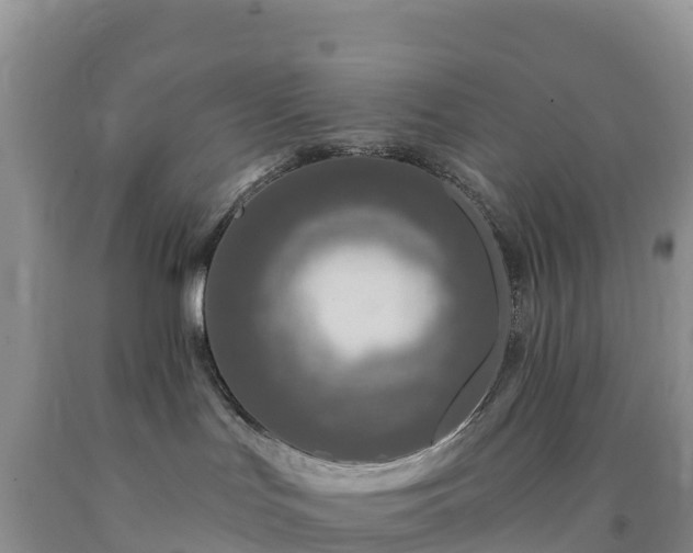 X0000092080047200709191234