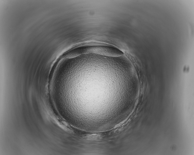 X0000092080050200709191233