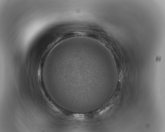 X0000092080052200709191233