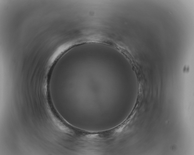 X0000092080054200709191233