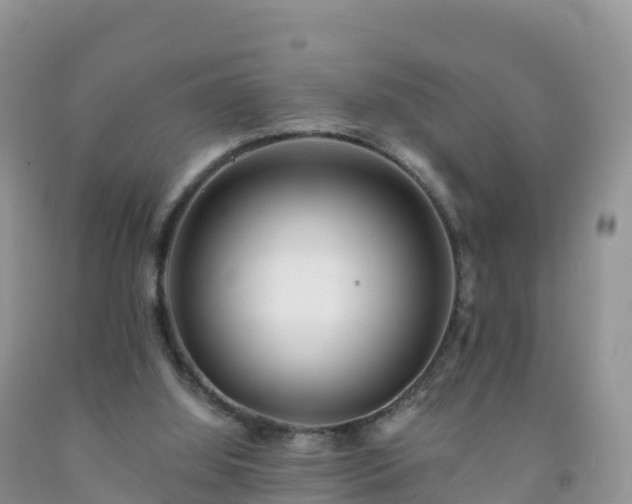X0000092080060200709191233