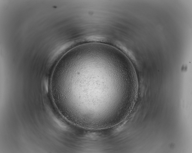 X0000092080062200709191233