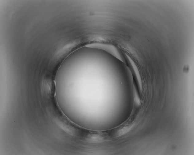 X0000092080072200709191233