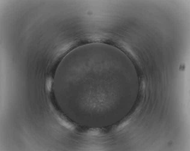 X0000092080076200709191233