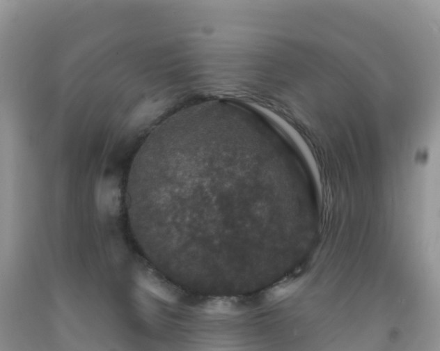 X0000092080080200709191233