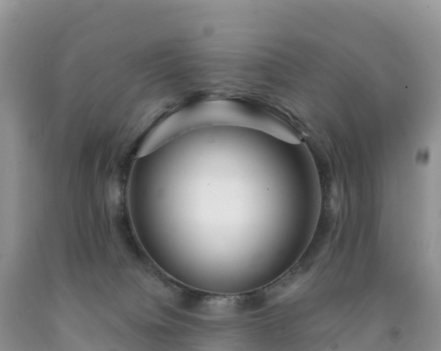 X0000092080084200709191233