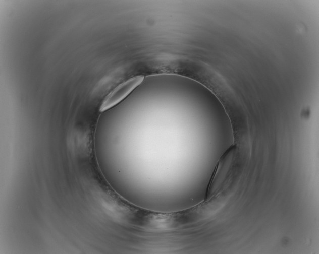 X0000092080088200709191233