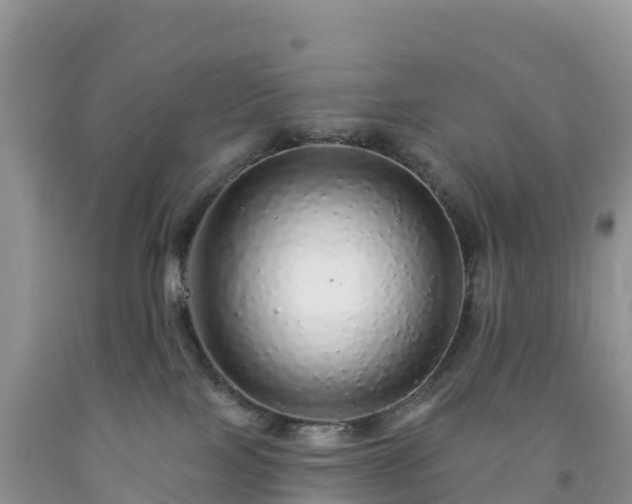 X0000092080089200709191233