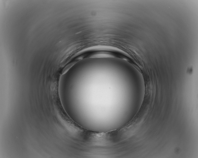 X0000092080092200709191233
