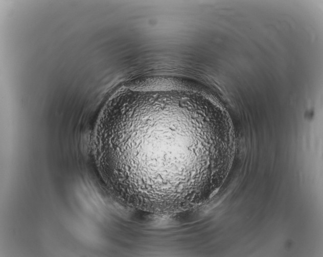 X0000092080093200709191233