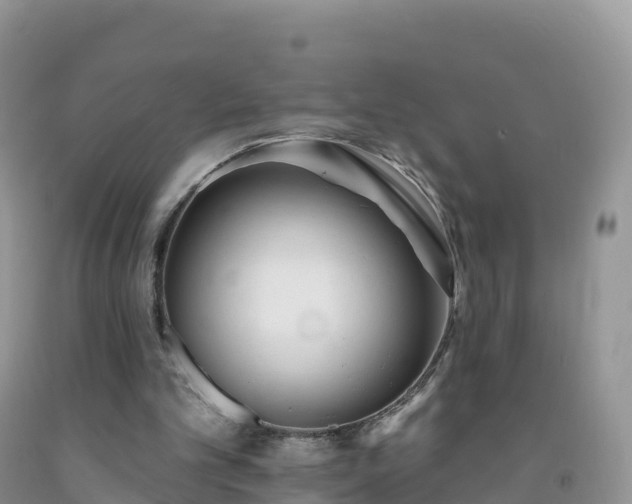 X0000092080101200709191233