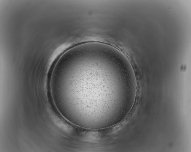 X0000092080104200709191233
