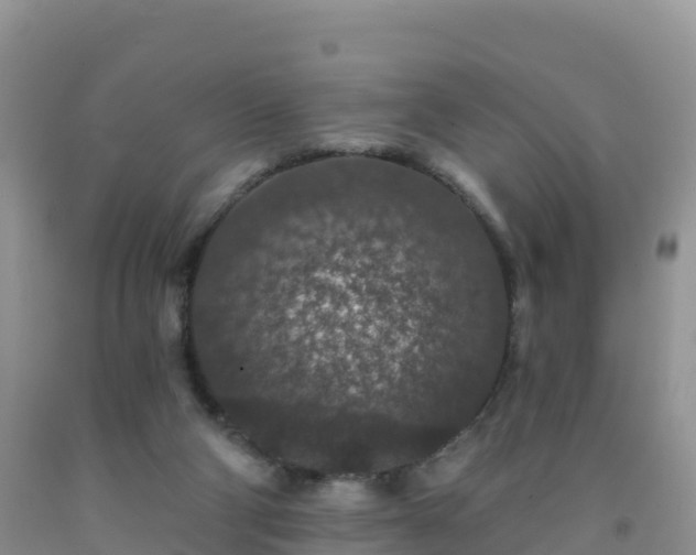 X0000092080114200709191233