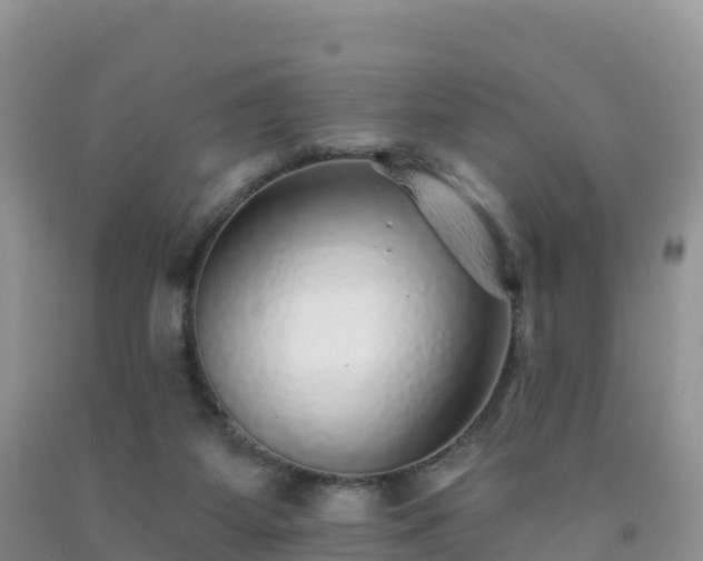 X0000092080115200709191233