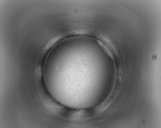 X0000092080116200709191233