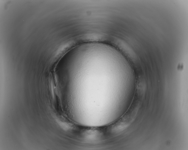 X0000092080119200709191233