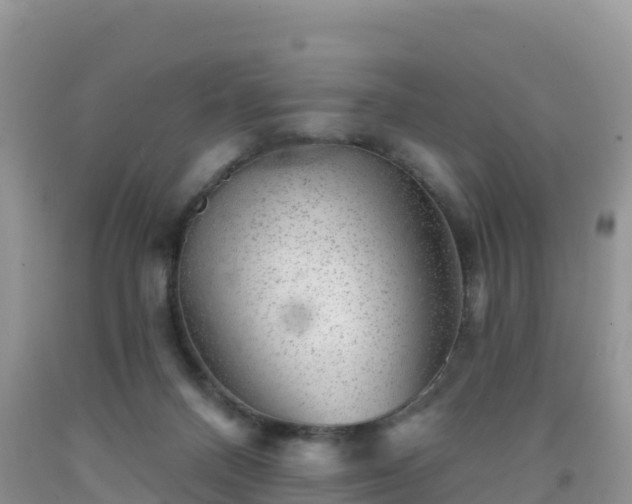 X0000092080120200709191233