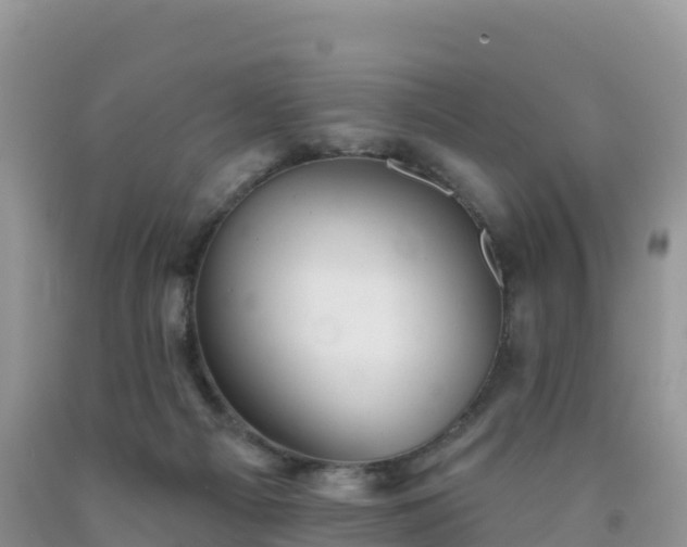 X0000092080121200709191233